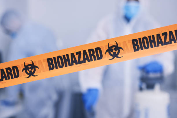 Professional Odor Removal technician working in Redmond, WA